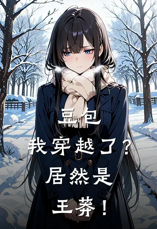 豆包，我穿越了？居然是王莽！